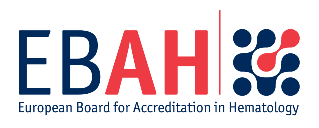 EBAH Logo